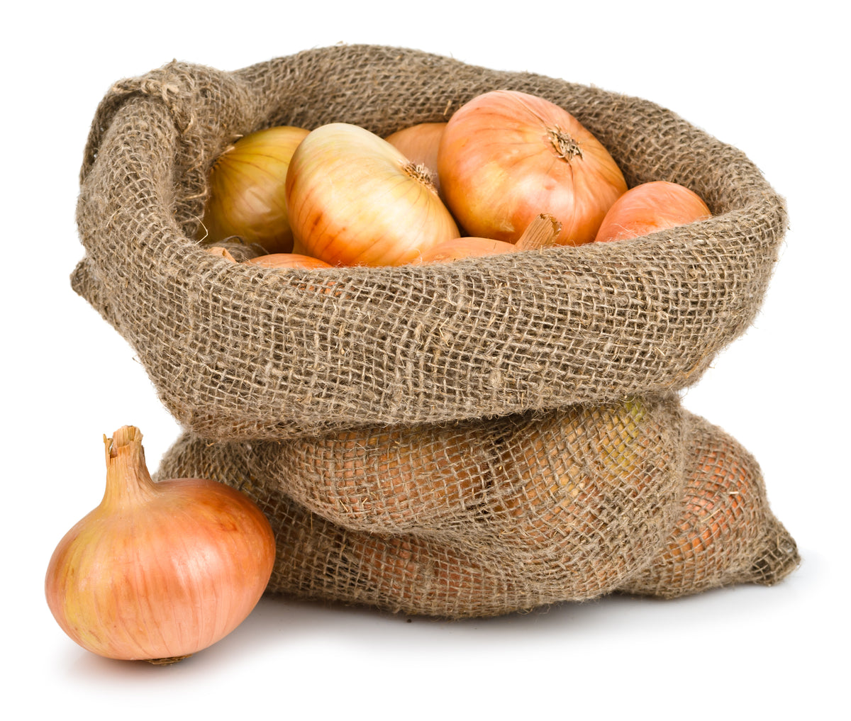 yellowonionbag_1200x1200.jpg?v