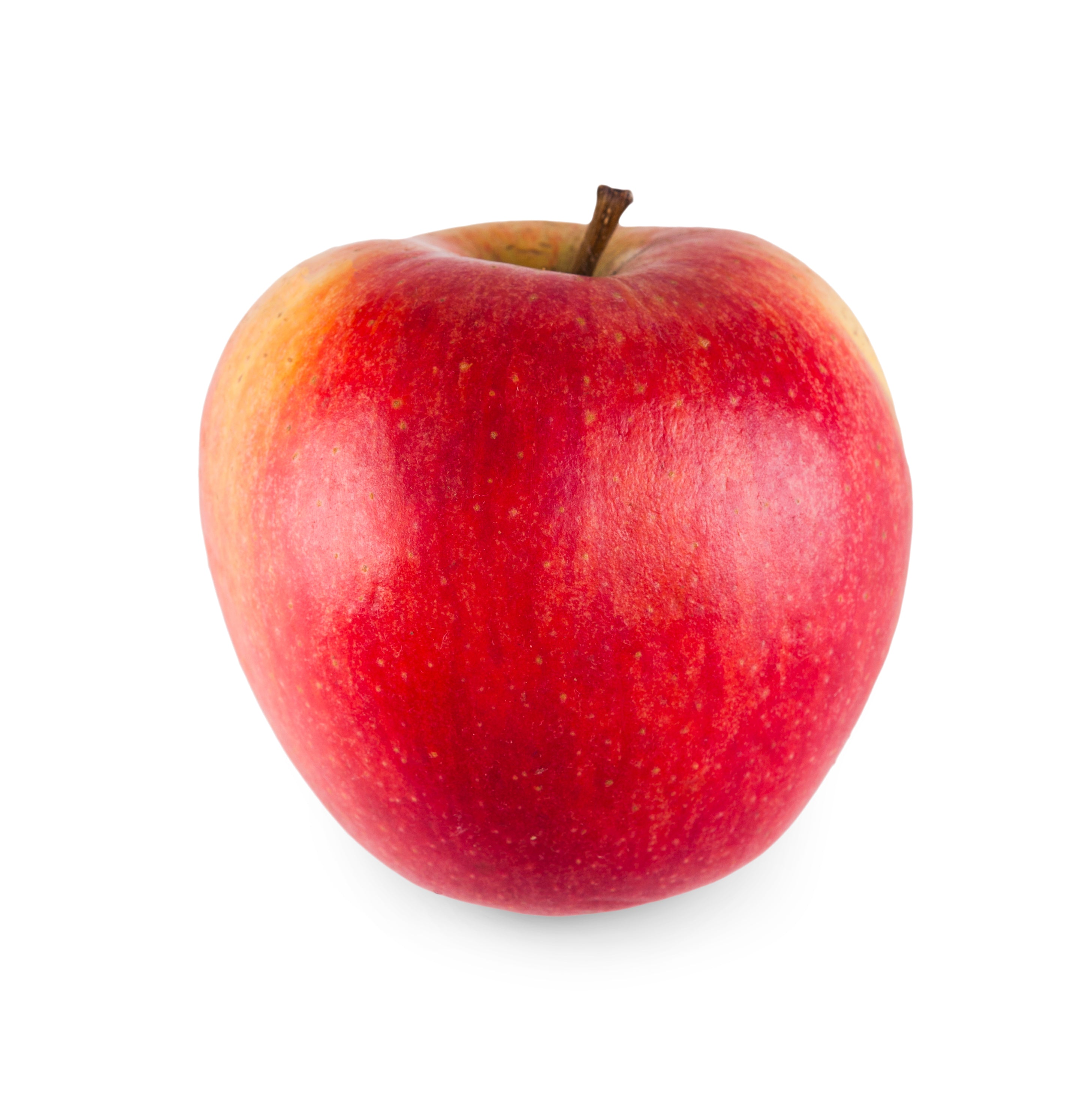 Apple Honeycrisp, Apples