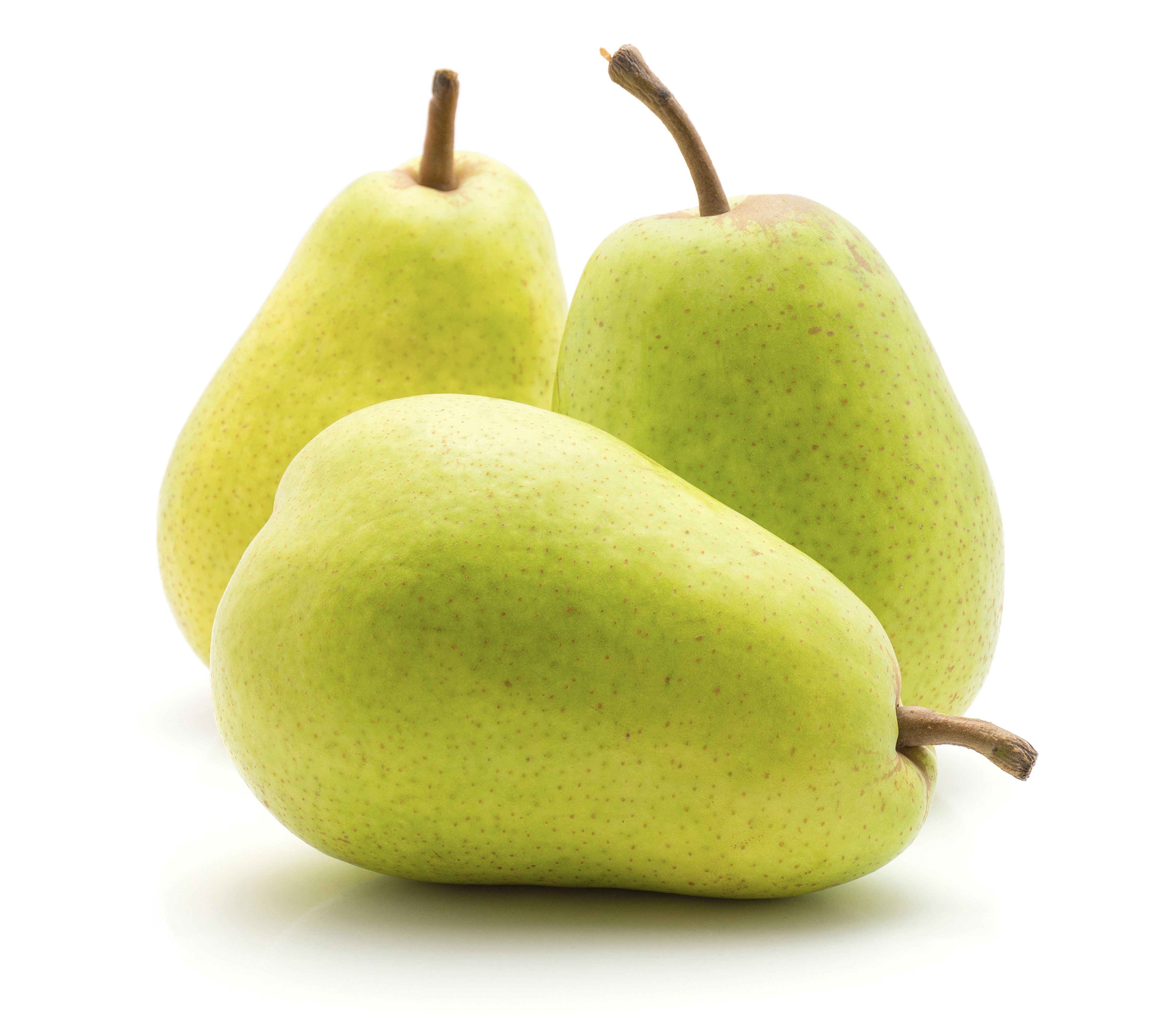 Angou Pears Pears, Anjou – Green Lane