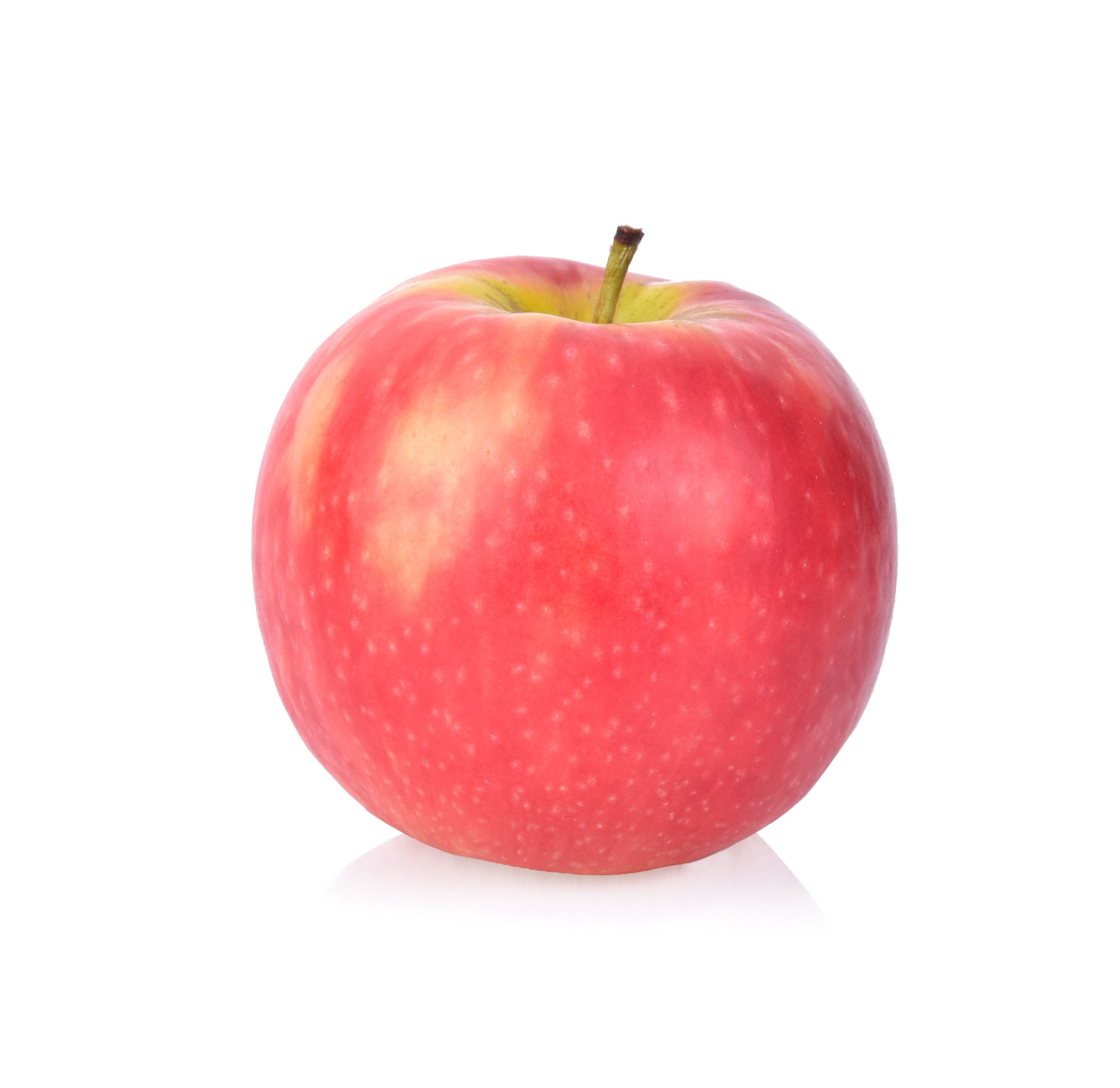 Pink Lady Pink Lady Apple